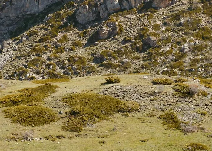 Discovery Compass 豪华帐篷