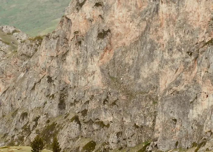 Discovery Compass * 地拉那