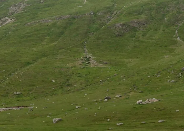 Discovery Compass * 티라나